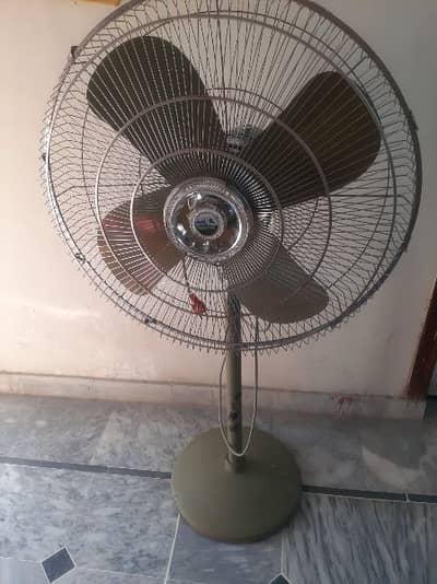 Pak fans 24"