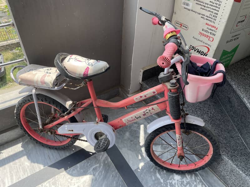 cycle 0