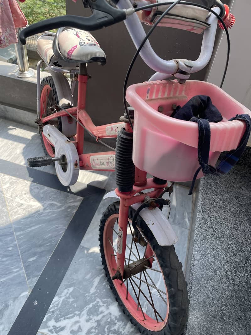 cycle 2