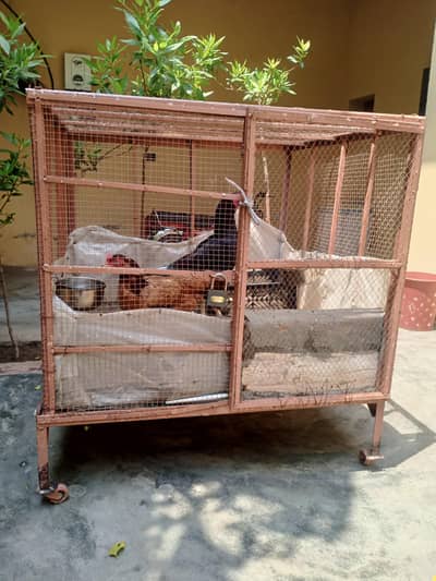 for sale