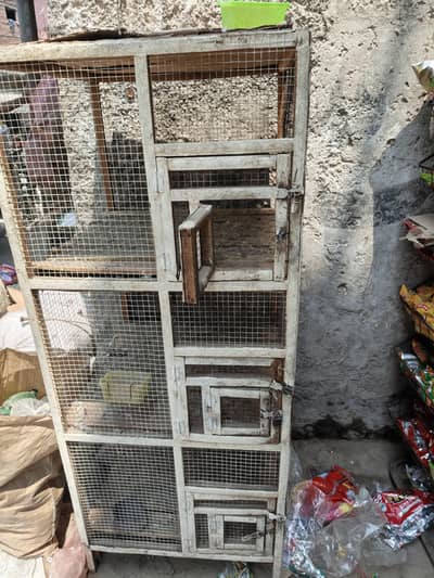 2×2 cage ha