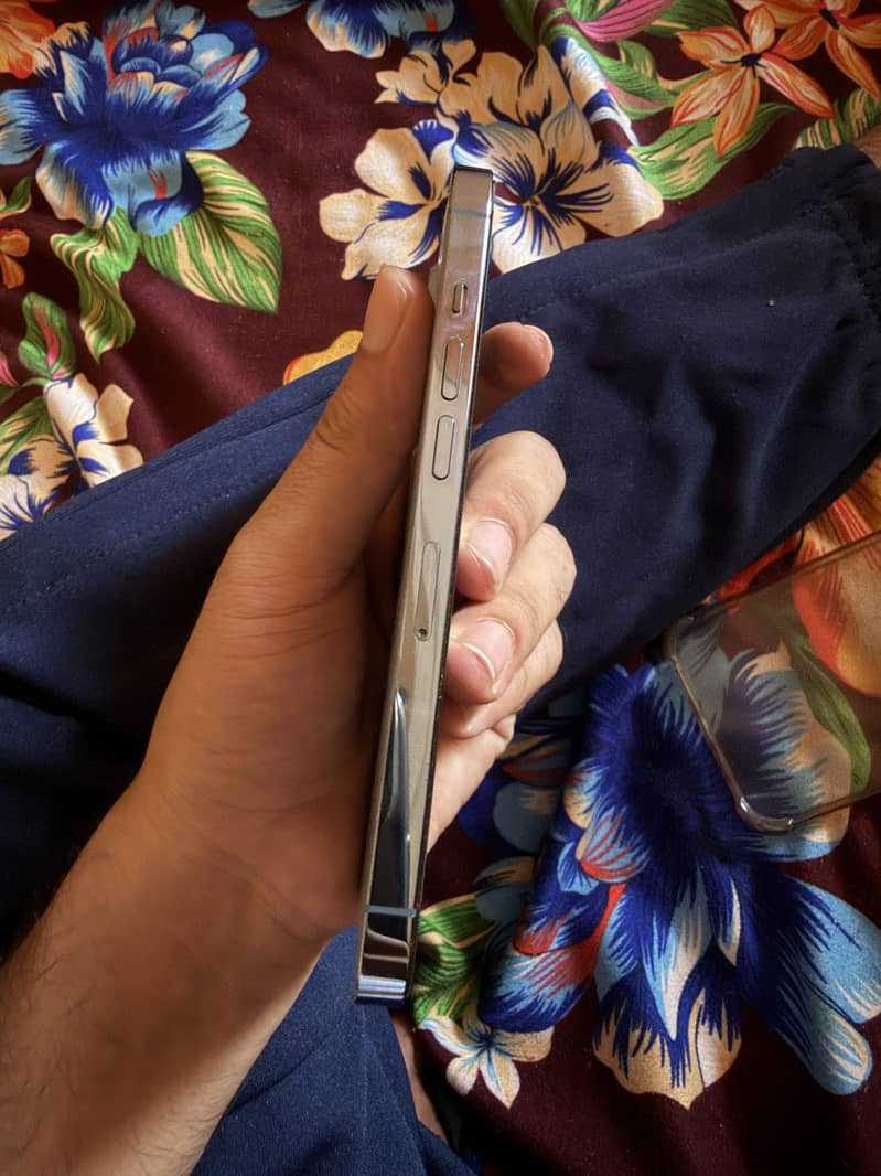iPhone 13 Pro 2
