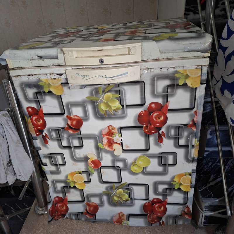 deep freezer 2