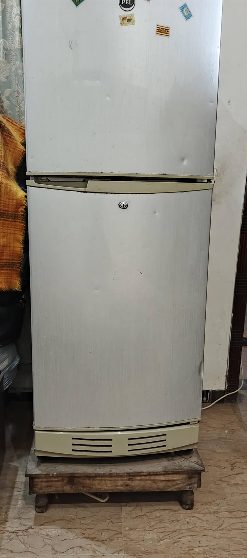 Pel Fridge 1
