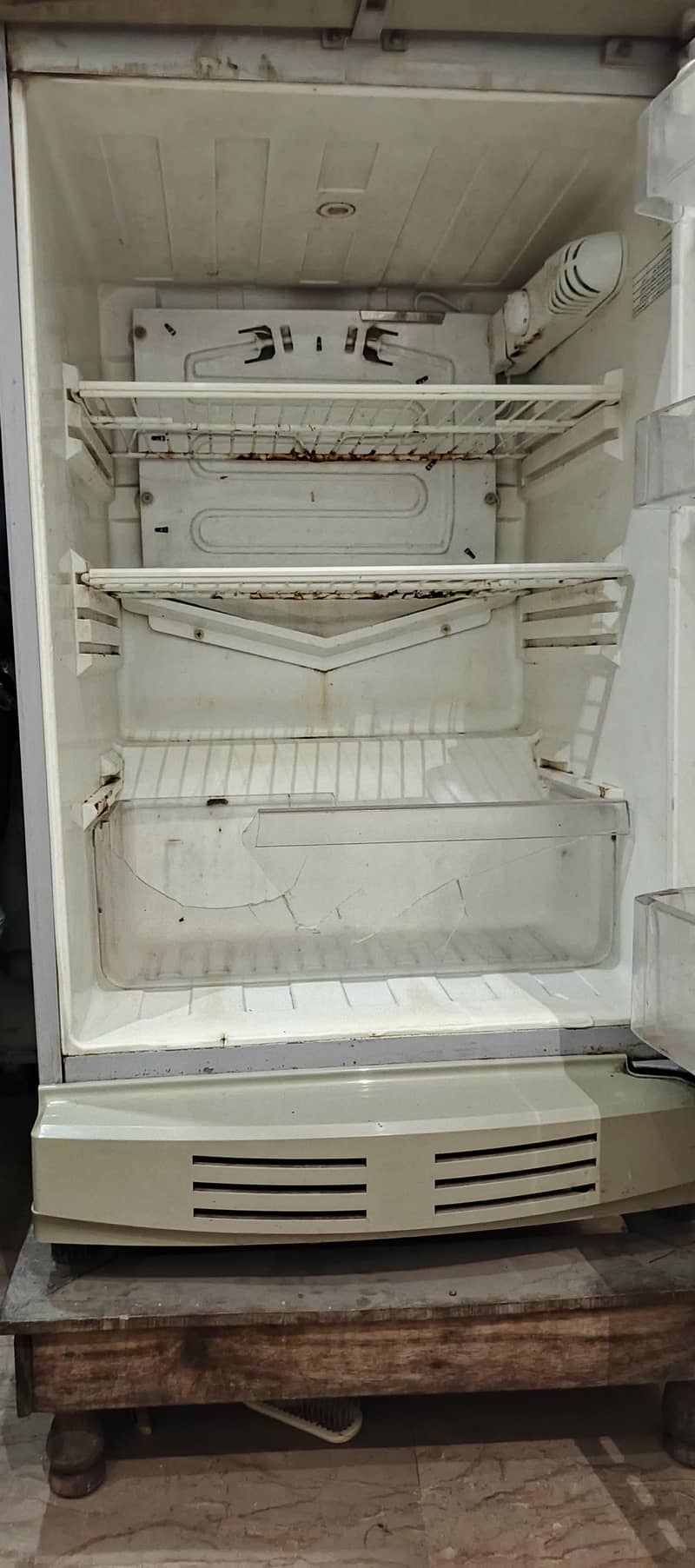 Pel Fridge 4
