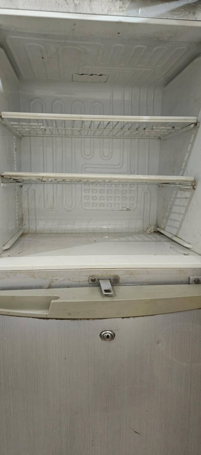 Pel Fridge 5