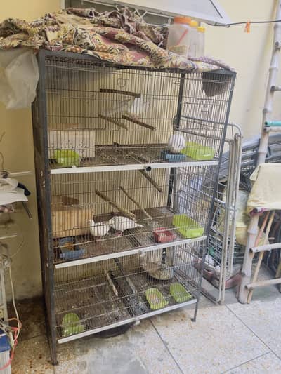cage for sale