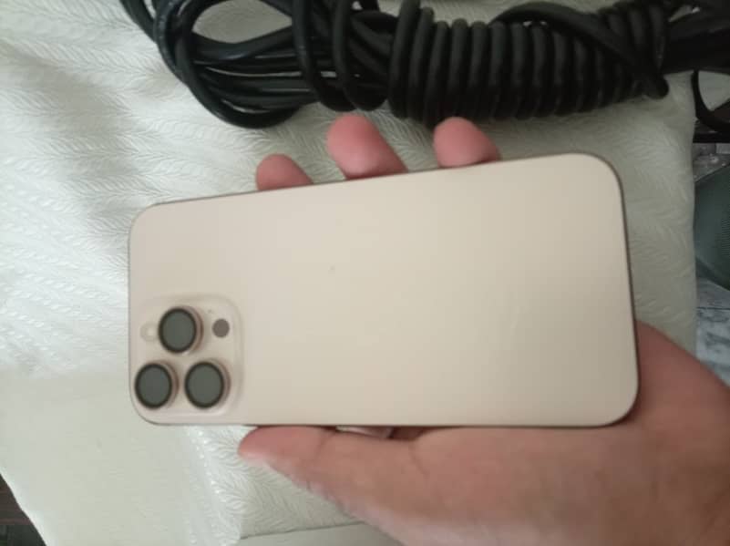Apple iPhone 16 Pro Max 1