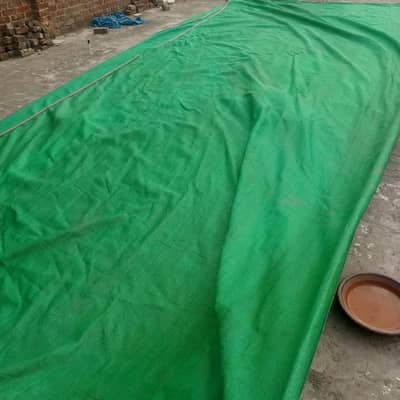 Green net (shades)