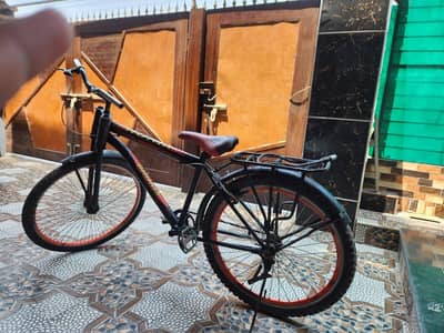 Phonix cycle light weight
