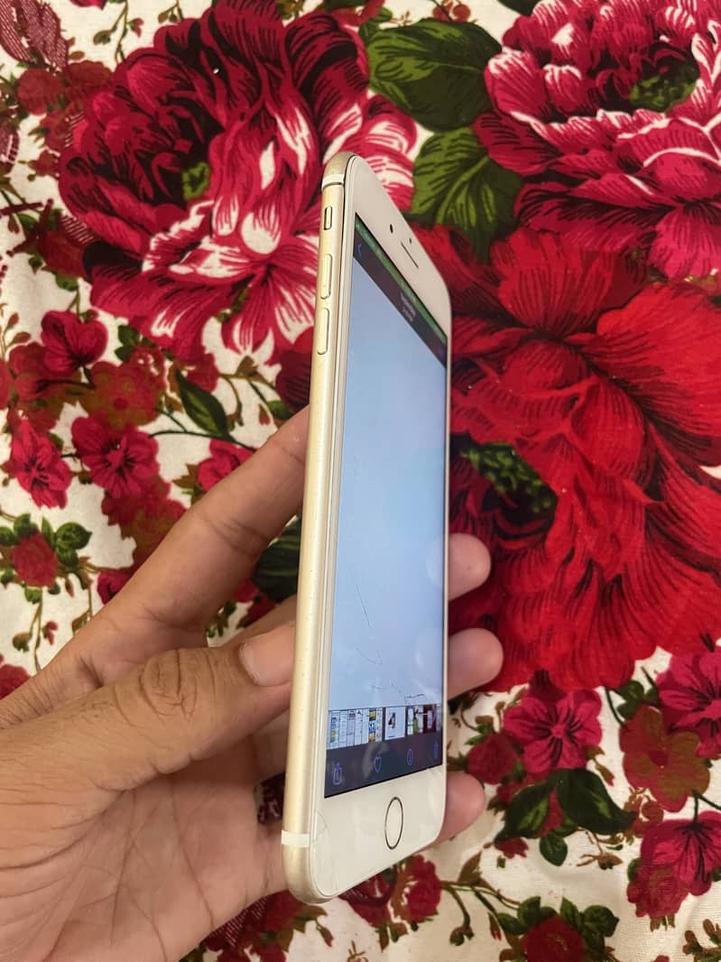 Apple iPhone 7 Plus 3