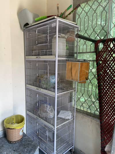 birds Cage