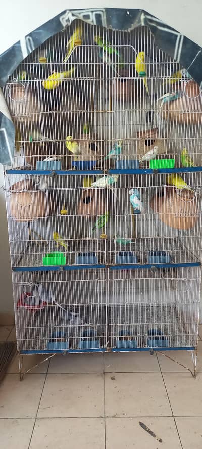 30 pairs