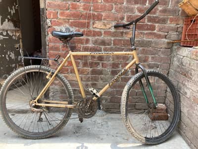 phoenix cycle 8.5/10 condition
