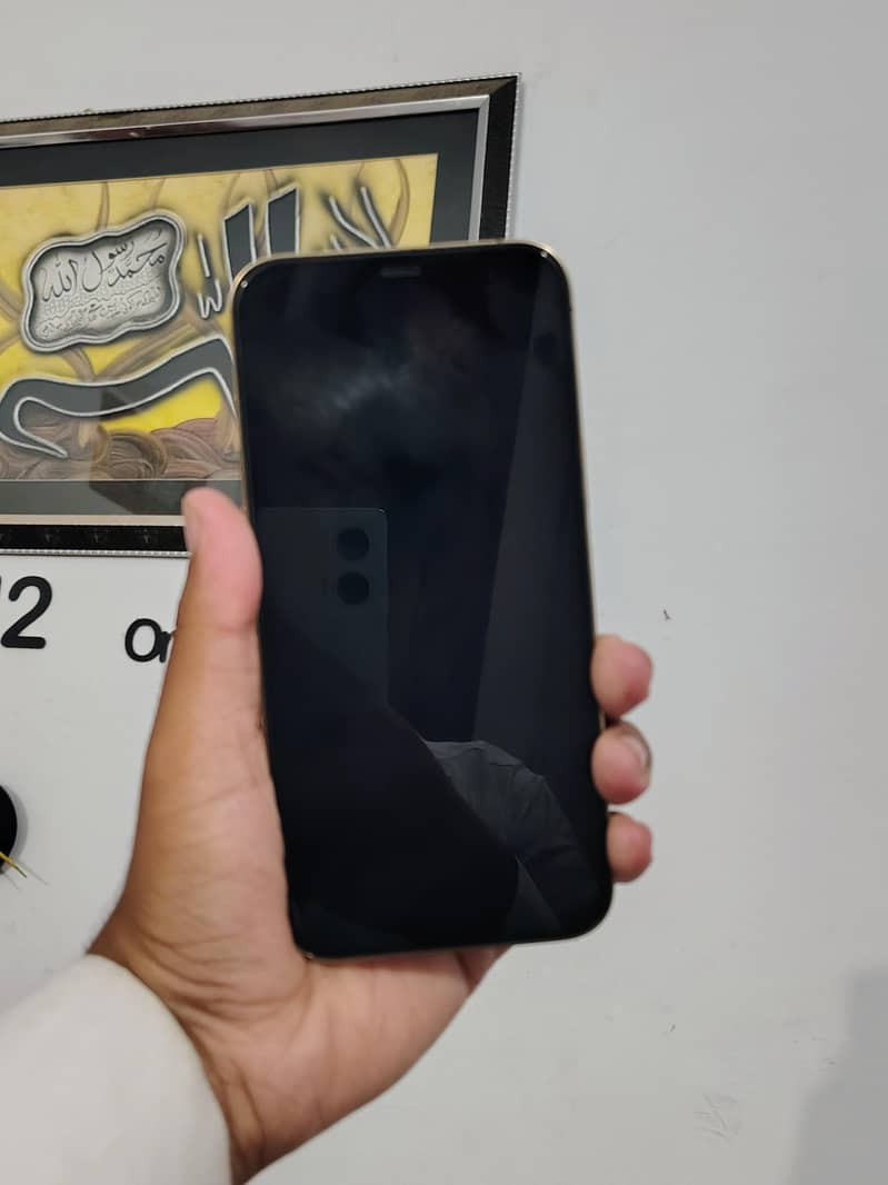 Apple iPhone 12 Pro Max 2