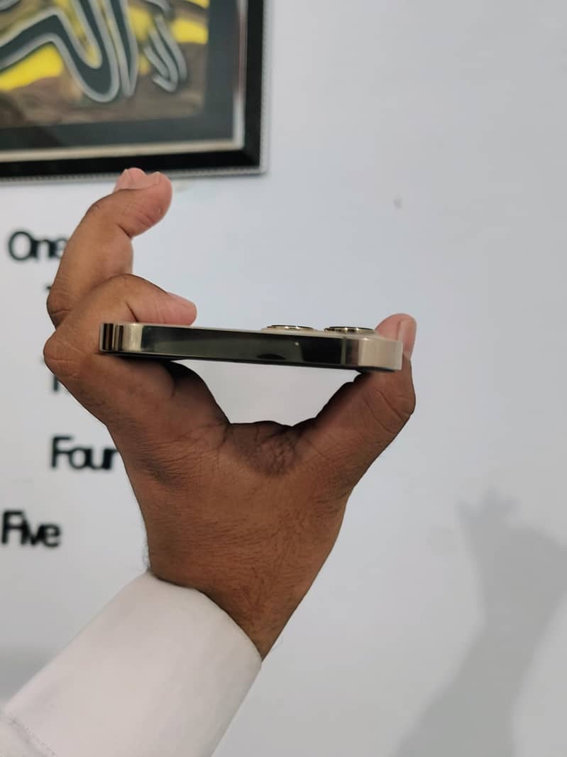 Apple iPhone 12 Pro Max 3