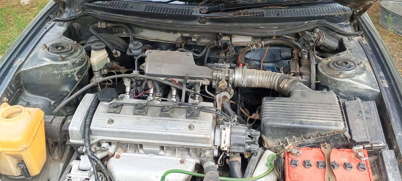 indus Corolla 8