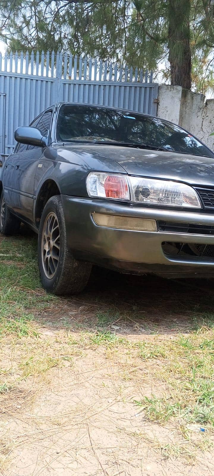 indus Corolla 12