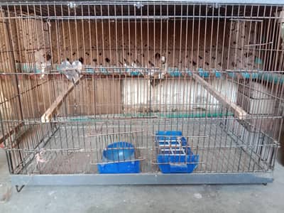 2.5*1.5*1.5 size cage+sticks+bartan . watsap number 03184652688