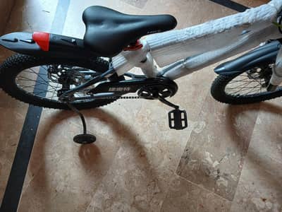 giaot 20" Chinese cycle