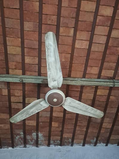 2 celling fan