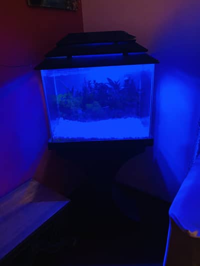 Fish Aquarium Normal Size for sale in good Condition