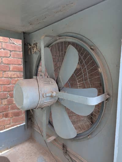 Lahori Cooler