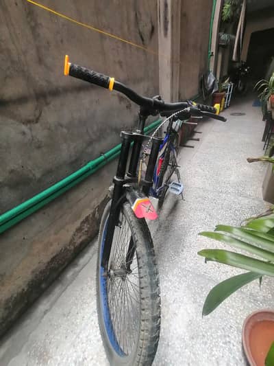 Cycle