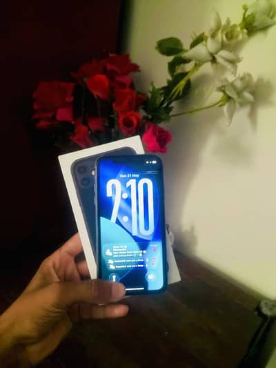 Apple iPhone 11