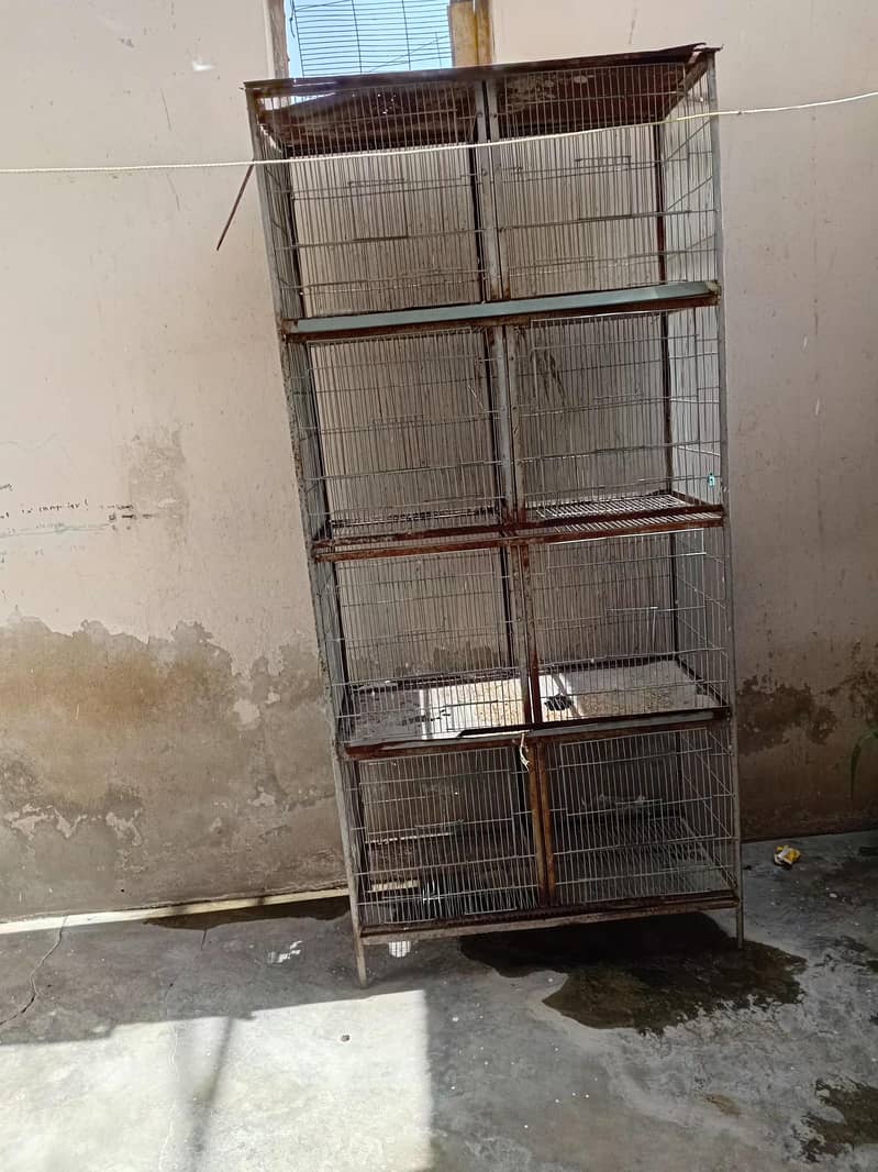 2 cages 1