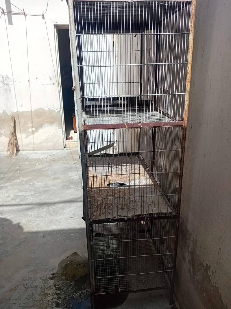 2 cages 2