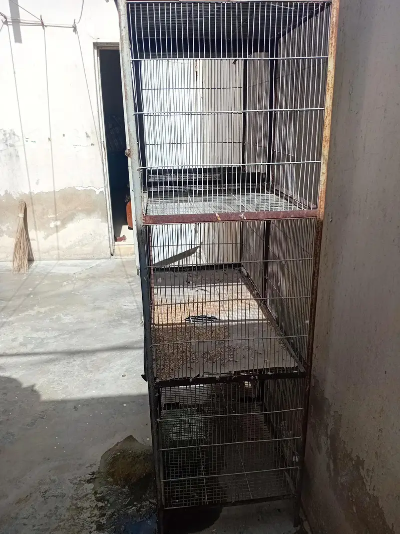 2 cages — photo 3