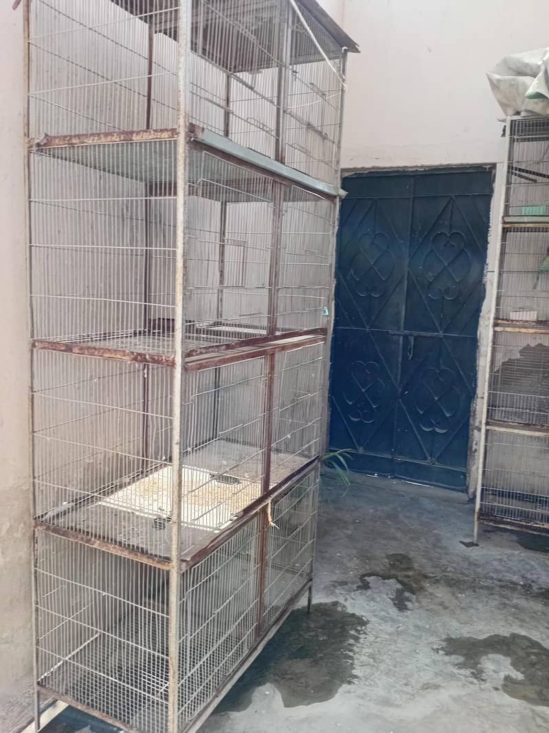 2 cages 3