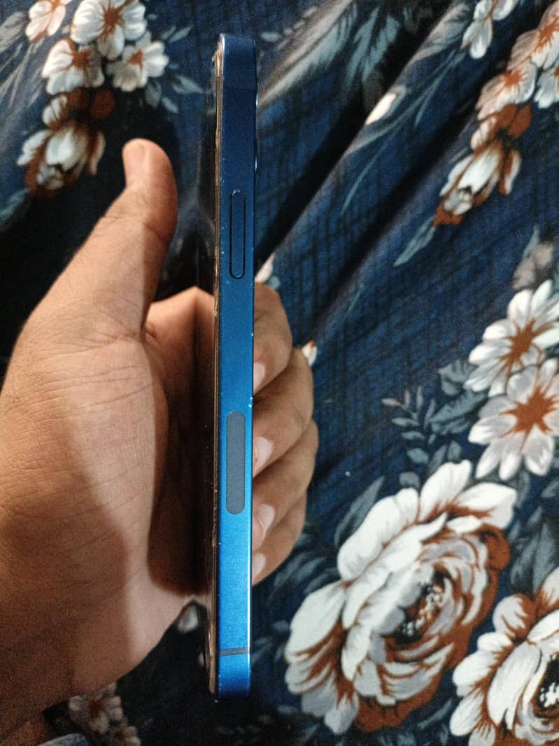 Apple iPhone 12 1
