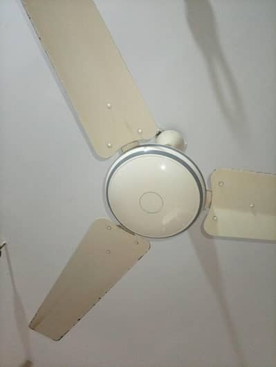 2 fan ha while colour k