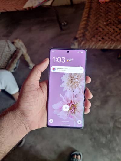 Google Pixel 6 Pro