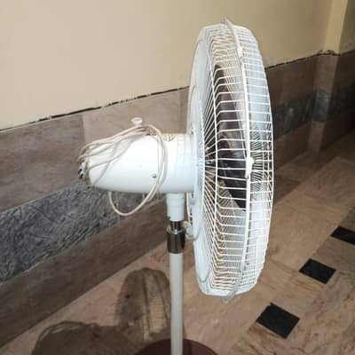 GFC copper pedestal fan 24"