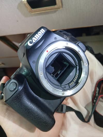 Canon eos 200D II with lenz sigma 18-250mm f/4.0 1:3.5-6.3 MACRO HSM