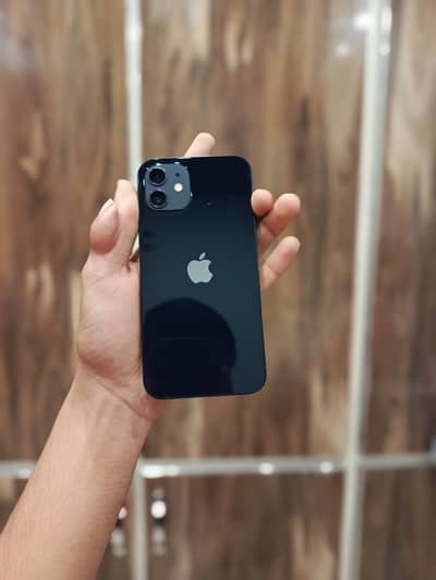 iPhone 12 Jv
