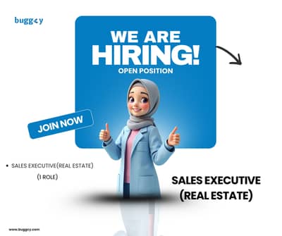 Sales Representative(Real Estate)