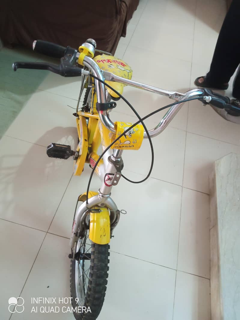 Morgan cycle 3