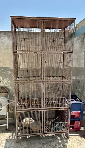 8 portion cage with tray
