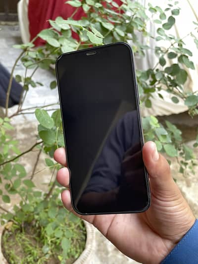 Apple iPhone 12