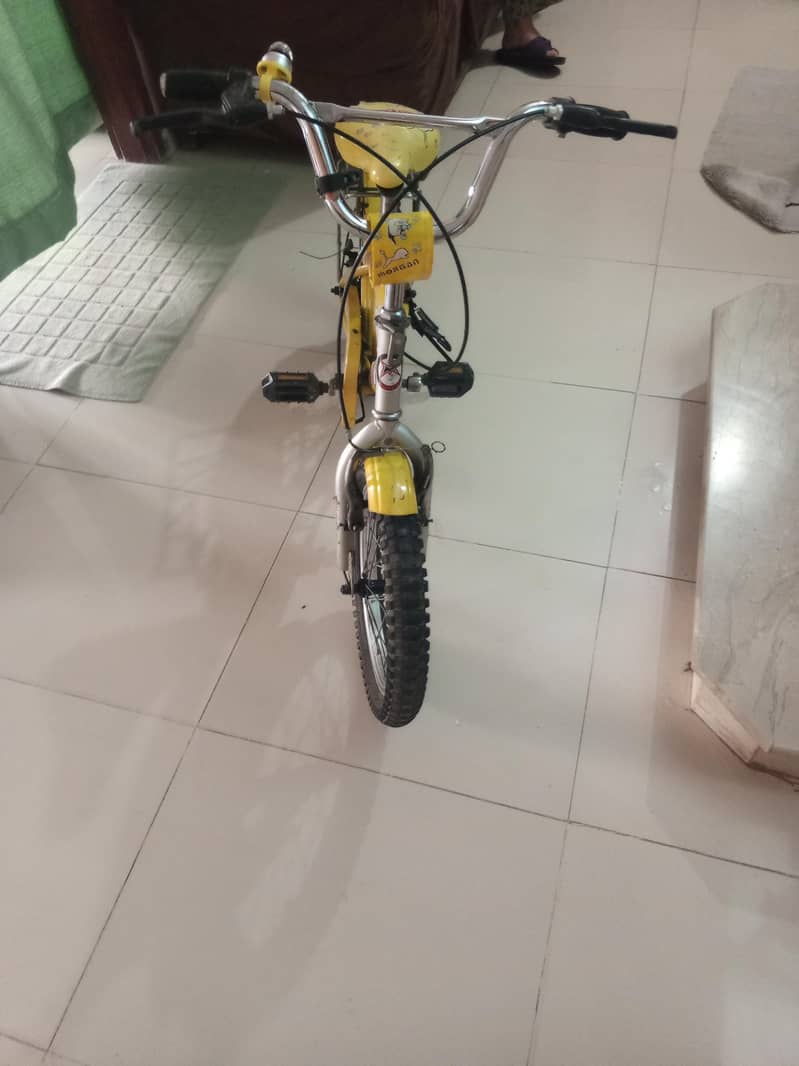 Morgan cycle 0