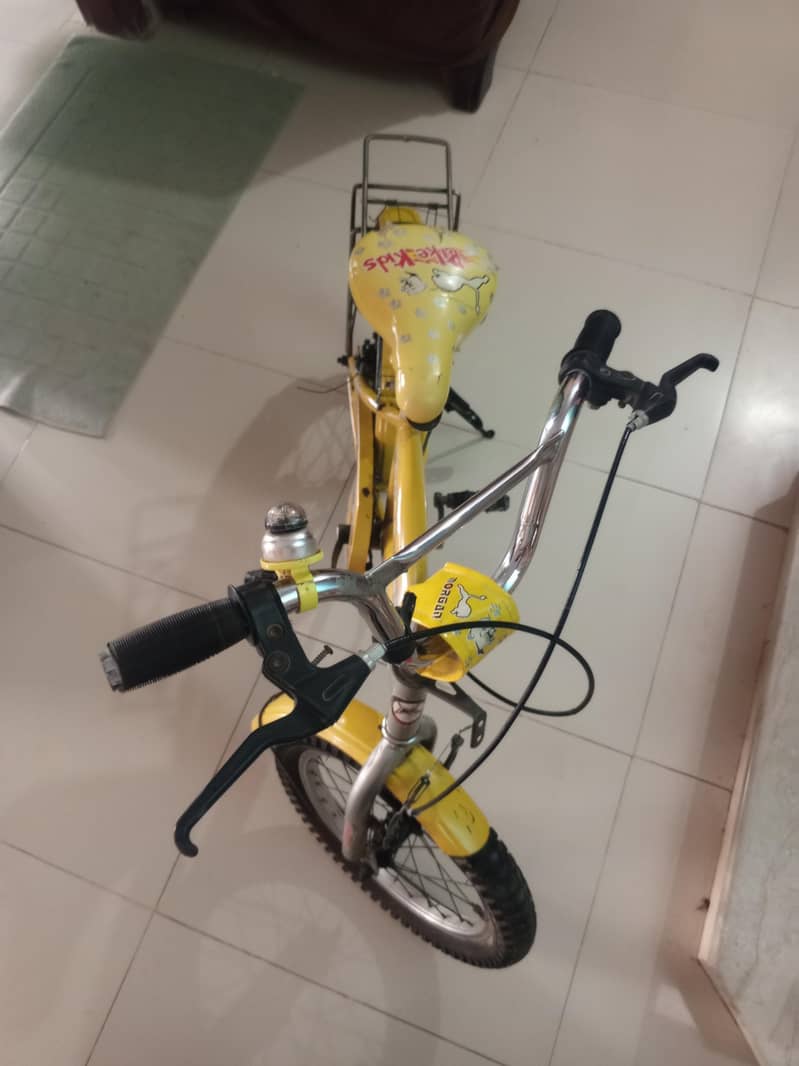 Morgan cycle 1