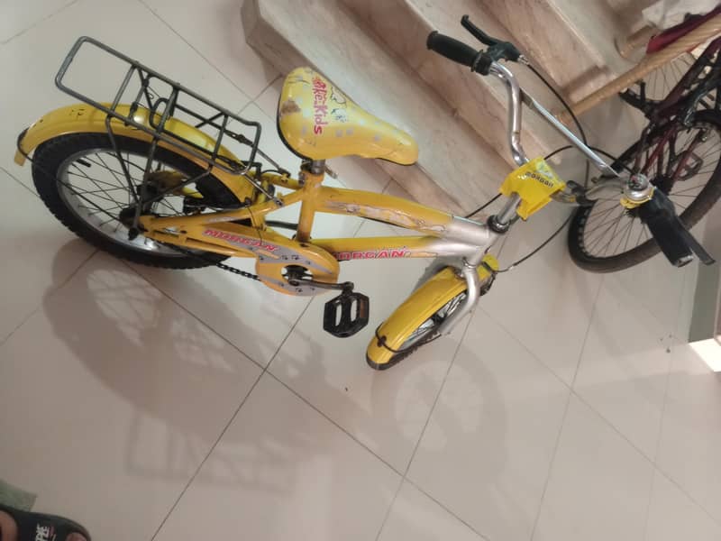 Morgan cycle 2