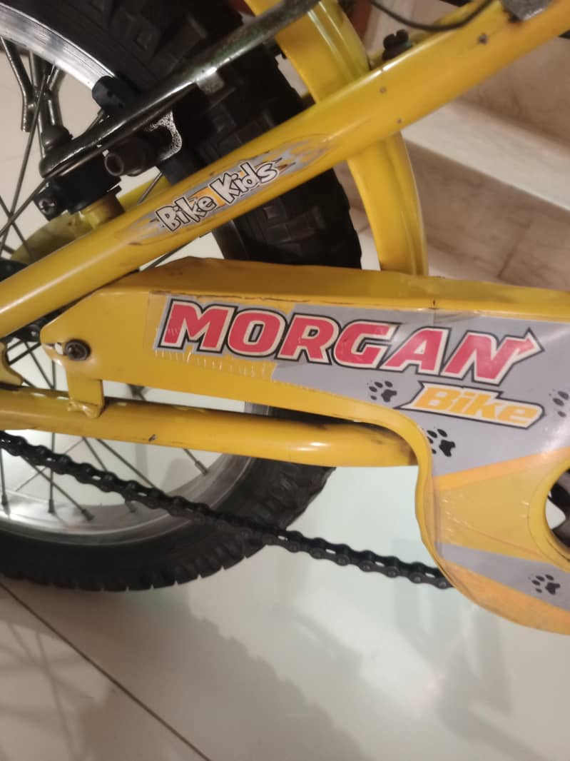 Morgan cycle 3