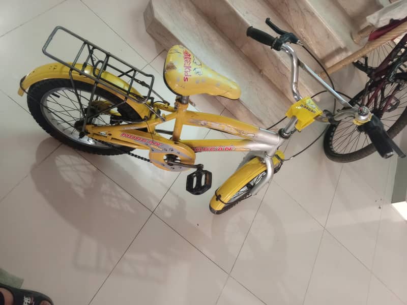 Morgan cycle 7