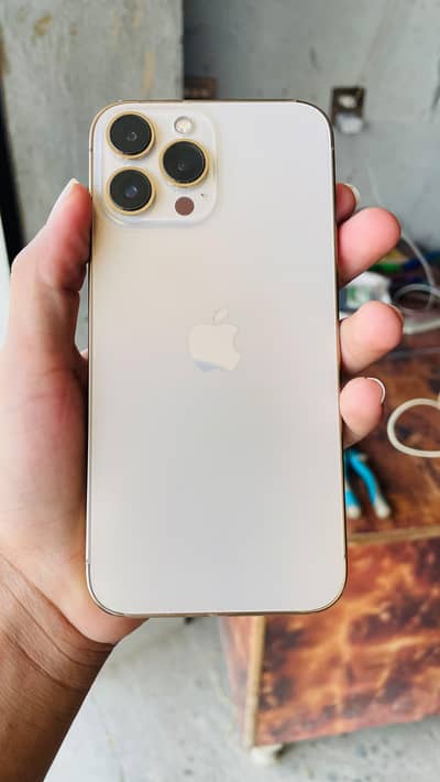 Apple iPhone 13 Pro Max
