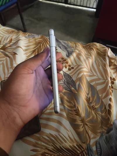 Google Pixel 7 official pta